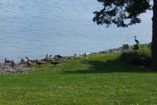 20170824-01LongSaultSidorchucksSmall