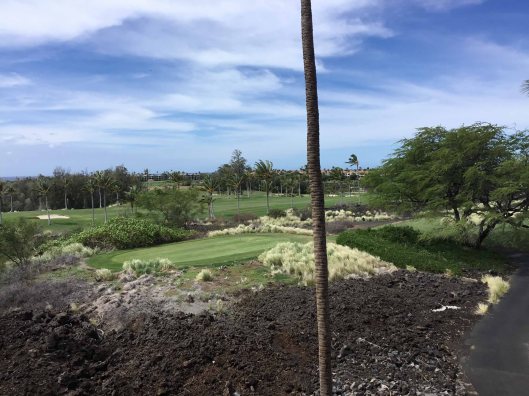 ScalbergsHawaiiSmlaller171017