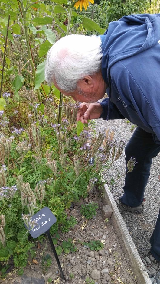 20180705-03PortumnaCastleErnieSniffing