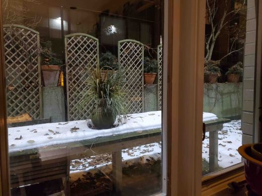 20191122-13Ginger'sPatio