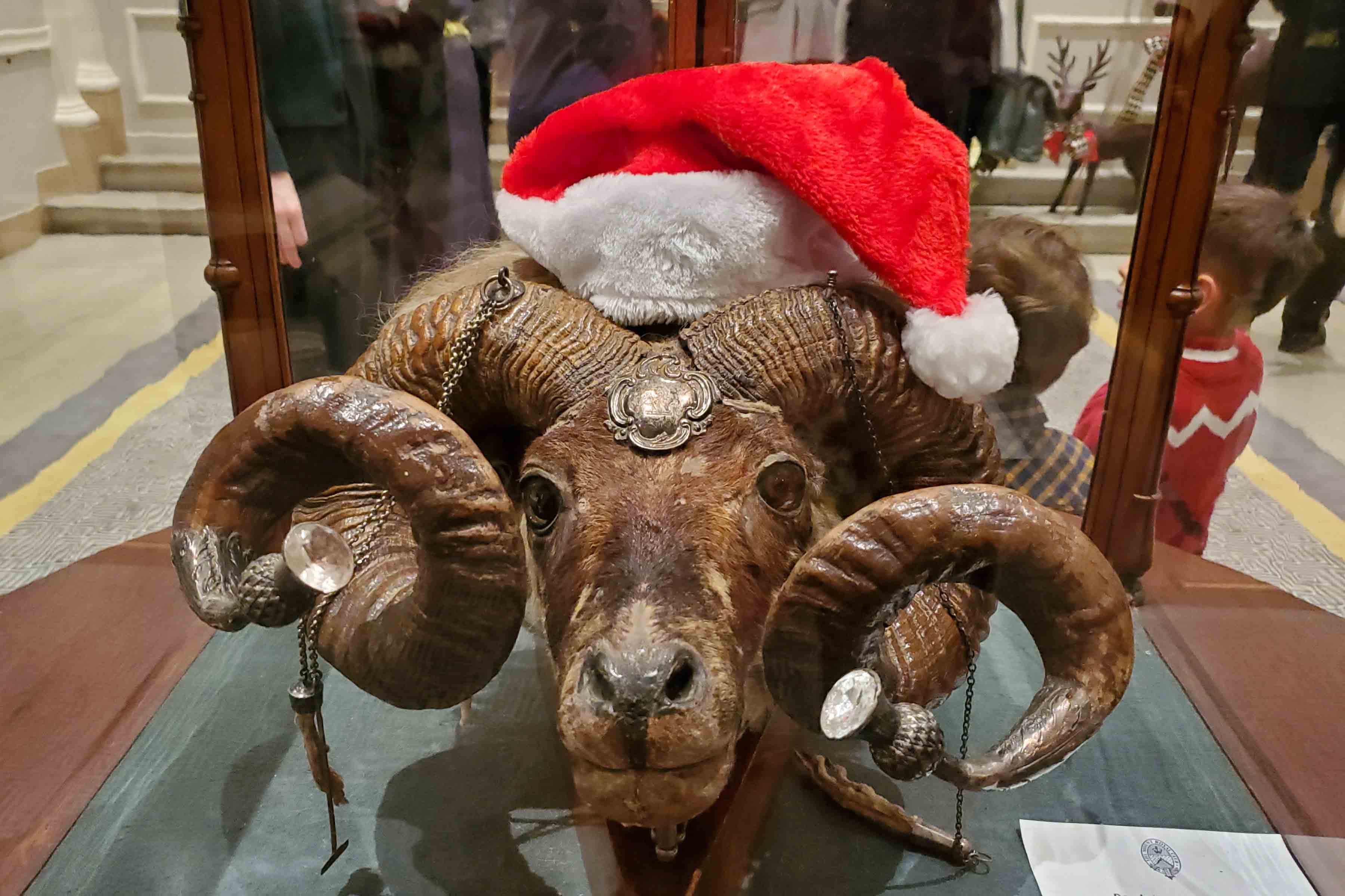 20191208-05MontrealMtRoyalClubChristmasRam
