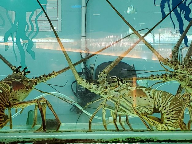 20200111-03ShatinHonoraryFamily